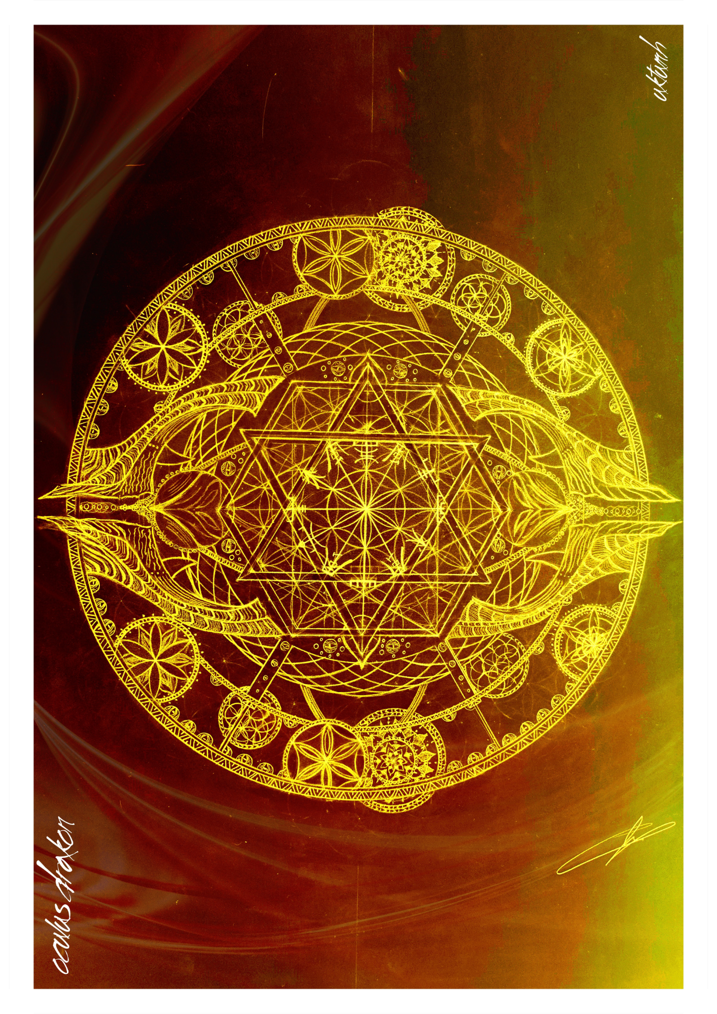 Oculus Drakon_Terrum-2